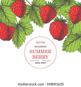 Red strawberry. Vector background with engraved fresh fruits. Vintage botanical hand drawn illustration of summer berries with leaves.