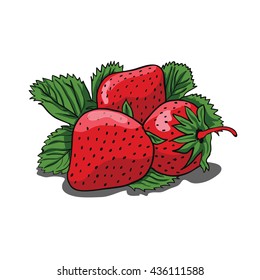 Red Strawberry Vector / Strawberry of Illustration Design Natural Realistic