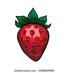 Red strawberry vector illustration isolated on white background