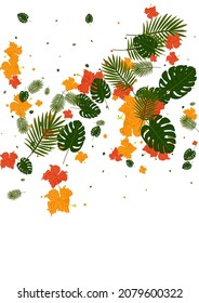 Red Strelitzia Background White Vector. Philodendron Trendy Frame. Light Green Tree. Abstract Texture. Pink Vivid Card.