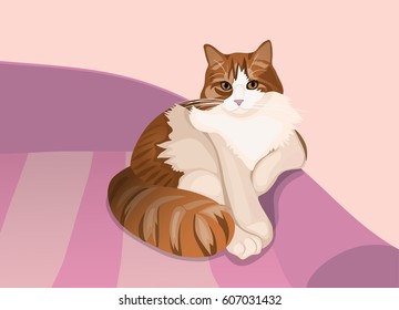Red stripy cat lying on the sofa