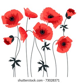 Red stylized poppy isolated on white background