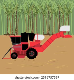 Red sugarcane harvester with sugarcane field in the background
