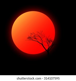 Red sun with tree; summer; contour of the tree; romantic evening; sunrise; sunset