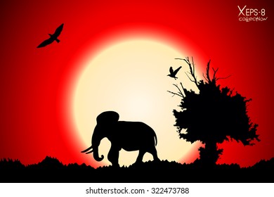 Red sunset in the jungle with old tree, birds and elephant. Vector background