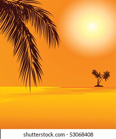 red sunset and palm on the beach