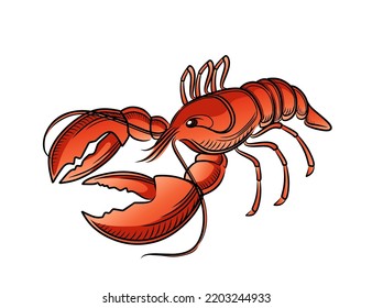 Red Swamp Crayfish Cartoon Animal Design Vector Illustration Isolated On White Background