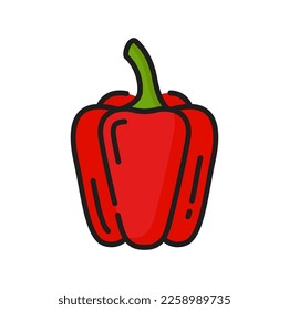 Red sweet bulgarian pepper veggie farm vegetable, color thin line icon. Vector edible bellpepper, ripe vegetarian food. Raw organic natural bell pepper