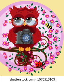 A red sweet owl in glasses and with a camera sits on a flowering branch of a tree. Photo business, photographer, vocation, profession