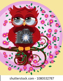 A red sweet owl in glasses and with a camera sits on a flowering branch of a tree. Photo business, photographer, vocation, profession