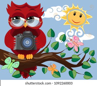 A red sweet owl with glasses and a camera sits on a tree branch on a clear sunny day. Photo business, photographer, vocation, profession