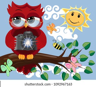 A red sweet owl with glasses and a camera sits on a tree branch on a clear sunny day. Photo business, photographer, vocation, profession