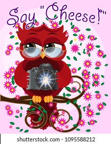 A red sweet owl in glasses and with a camera sits on a flowering branch of a tree. Photo business, photographer, vocation, profession