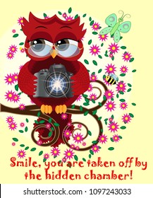 A red sweet owl in glasses and with a camera sits on a flowering branch of a tree. Photo business, photographer, vocation, profession