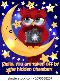 A red sweet owl wearing spectacles and with a camera sits on the moon and the stars. Photo business, photographer, vocation, profession