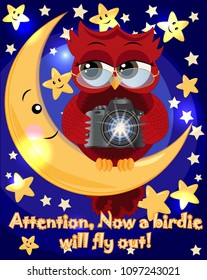 A red sweet owl wearing spectacles and with a camera sits on the moon and the stars. Photo business, photographer, vocation, profession