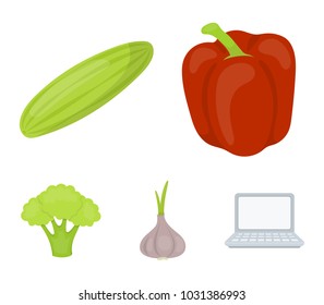 Red sweet pepper, green cucumber, garlic, cabbage. Vegetables set collection icons in cartoon style vector symbol stock illustration web.