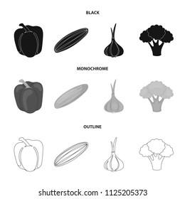 Red sweet pepper, green cucumber, garlic, cabbage. Vegetables set collection icons in black, monochrome, outline style vector symbol stock illustration web.