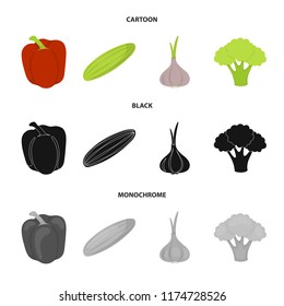 Red sweet pepper, green cucumber, garlic, cabbage. Vegetables set collection icons in cartoon,black,monochrome style vector symbol stock illustration web.