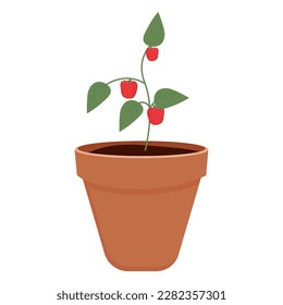 Red sweet Pepper in a pot for indoor plants. seedlings. gardening. Isolated vector illustration