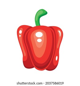 Red sweet pepper vegetable on white background isolated icon. Vector illustration.
