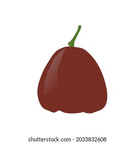 Red Syzygium aqueum common names include watery rose apple, water apple and bell fruit isolated on white background