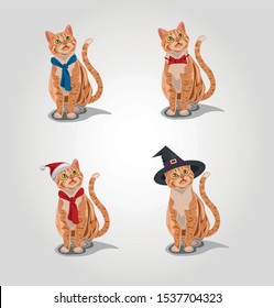 Red tabby cat wearing different outfit.   Cat in a scarf, in a tie, in a Christmas hat and cat in a Halloween hat.