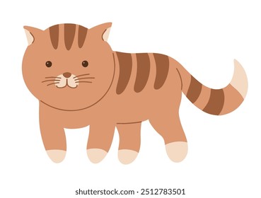Red tabby kitten. Home pet. Cute domestic animal. Cartoon vector illustration isolated on white background