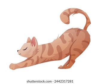 Red tabby stretching domestic cat, vector isolated cartoon illustration.