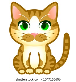 Red tabby and white cat with green eyes