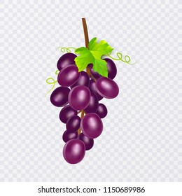 Red table grapes, wine grapes. Fresh fruit, 3d vector icon set. Bunch of grapes ripe, vector eps 10