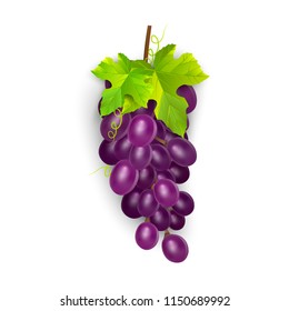 Red table grapes, wine grapes. Fresh fruit, 3d vector icon set. Bunch of grapes ripe, vector eps 10