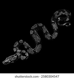 red tail boa hand drawing vector isolated on black background.