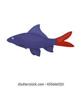Red Tail Shark fish icon cartoon. Singe aquarium fish icon from the sea,ocean life collection.
