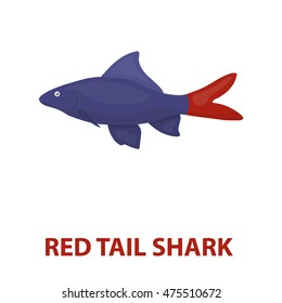 Red Tail Shark fish icon cartoon. Singe aquarium fish icon from the sea,ocean life cartoon.