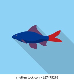 Red Tail Shark fish icon flat. Singe aquarium fish icon from the sea,ocean life flat.