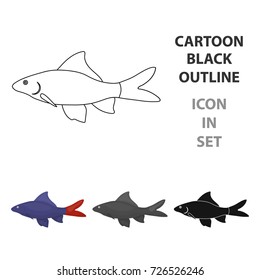 Red Tail Shark fish icon cartoon. Singe aquarium fish icon from the sea,ocean life cartoon.