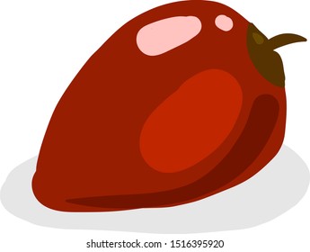 Tamarillo rojo, ilustración, vector sobre fondo blanco.