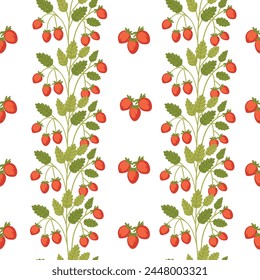 Red tasty wild strawberry on green stem with leaves vector illustration on white background