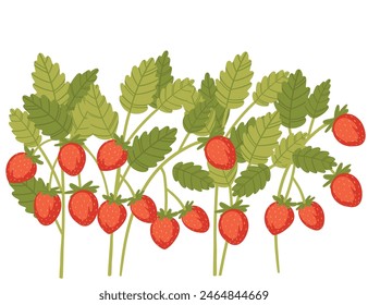 Red tasty wild strawberry on green stem with leaves vector illustration on white background