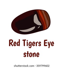 Red tiger eye stone in vector.