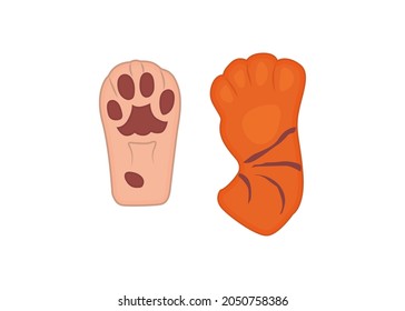 red tiger paws front and back view. Hand drawing tiger illustration vector.