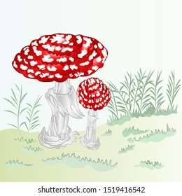 Red  toadstool Mushroom Amanita Fly Agaric with green grass  autumn background vector illustration editable hand draw