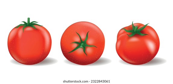 Red tomato cartoon realistic set. One single front side top tomatos view, fresh tasty ripe tomatoes vegetable with green leaves isolated vector illustration