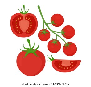 Red tomato and cherry tomato set. Vector illustration of fresh ripe vegetables isolated on white background.