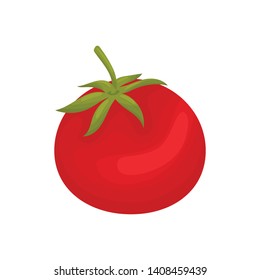 Red tomato closeup. Vector illustration on white background.