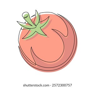 Red tomato contour line isolated on white background. Simple vegetable silhouette. Hand drawn tomato outline. Vector illustration