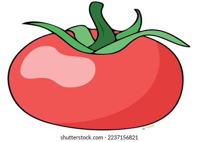 vector de color rojo y verde del tomate rojo