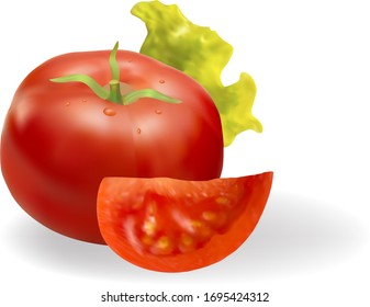 Red tomato. Green leaf lettuce. Vector. 