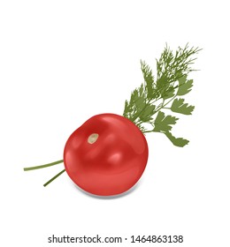 The Red Tomato Green Raw Parsley And Bunch Of Fresh Dill Spice Ingredient For Healthy Food Or Salad, Vector EPS 10 Format